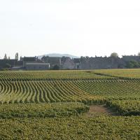 Chassagne Montrachet Premier Cru Les Chenevottes