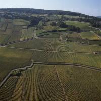 Beaune Premier Cru Bressandes